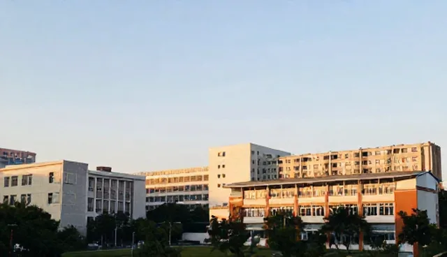 提升企业名录查询效率的五大检查要点